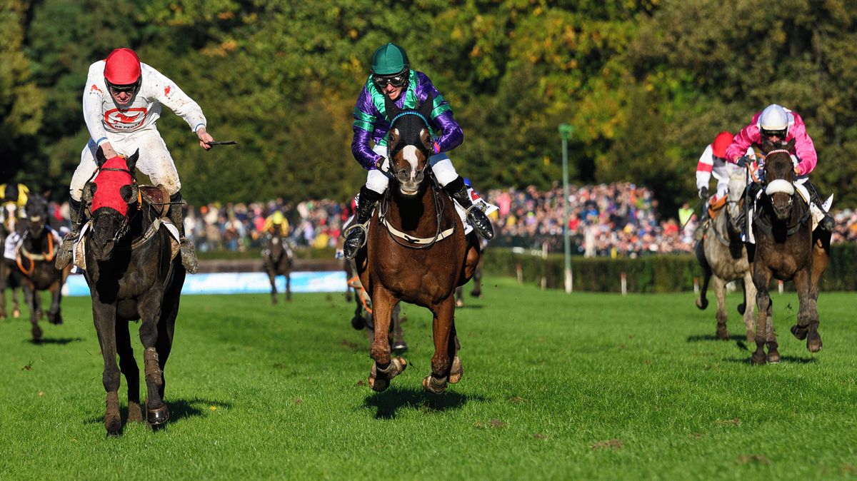 Kůň z ciziny má šanci vyhrát Velkou pardubickou po třiceti letech